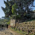 Albenga - via julia augusta - la necropoli romana