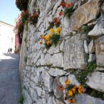 Montaretto - muro fiorito