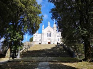 Santuario di Montallegro - viale Il viale di accesso al Santuario di Montallegro tra lecci secolari